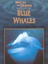 Whales and Dolphins: Blue Whales